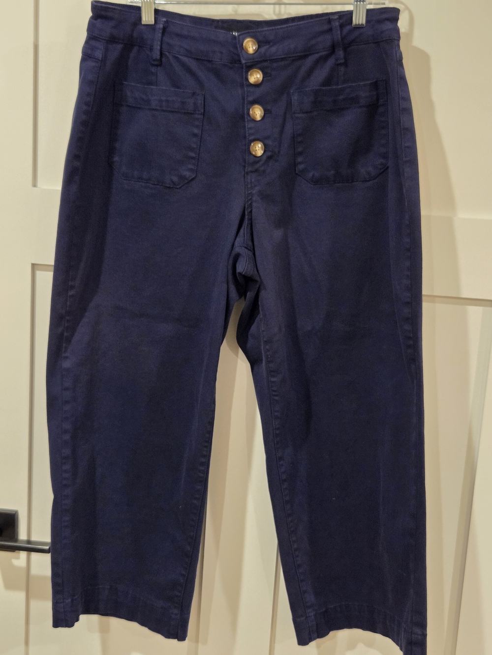 Tribal Navy Blue Cropped Button-Front Pants